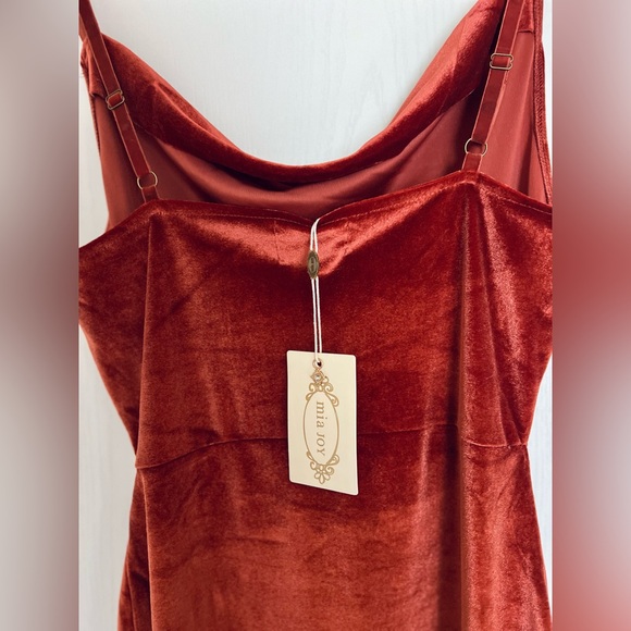 Joyfolie Velvet Mini Dress in Cinnamon - Picture 6 of 9